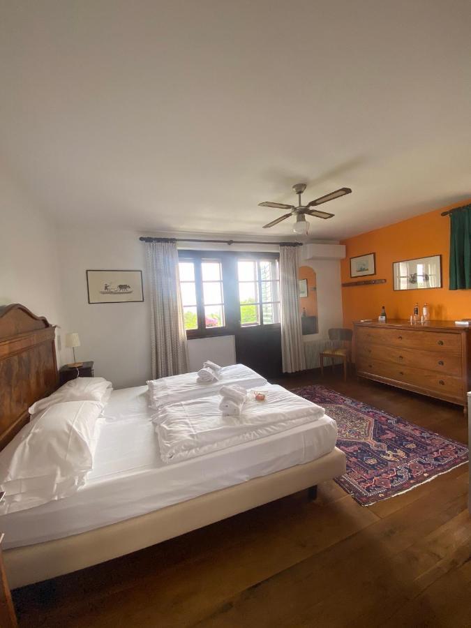Agriturismo Scacciapensieri Buttrio Exteriér fotografie